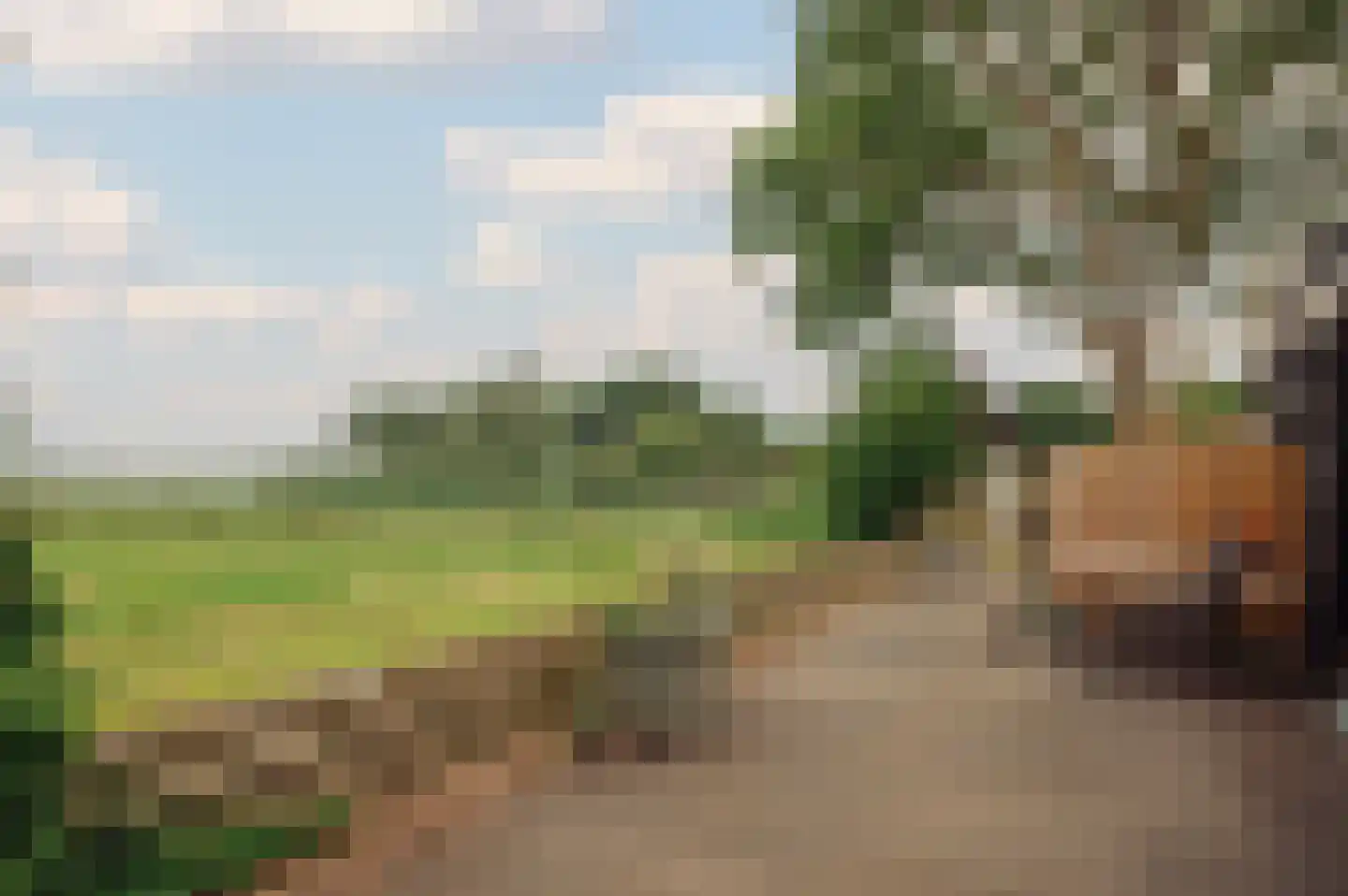 De Hout 46 Hem thumbnail 80