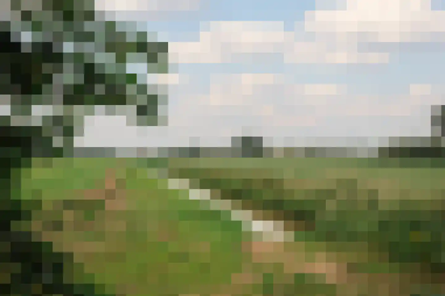 De Hout 46 Hem thumbnail 81