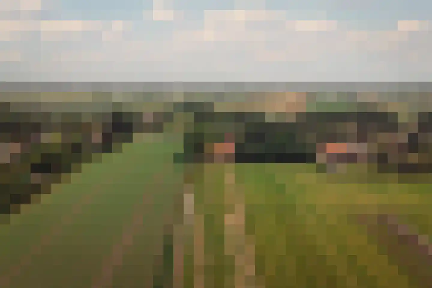 De Hout 46 Hem thumbnail 82