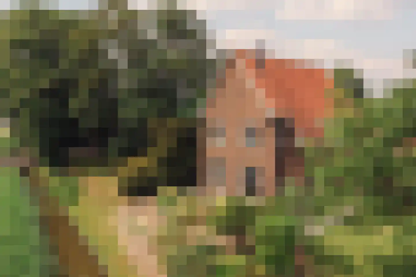 De Hout 46 Hem thumbnail 84