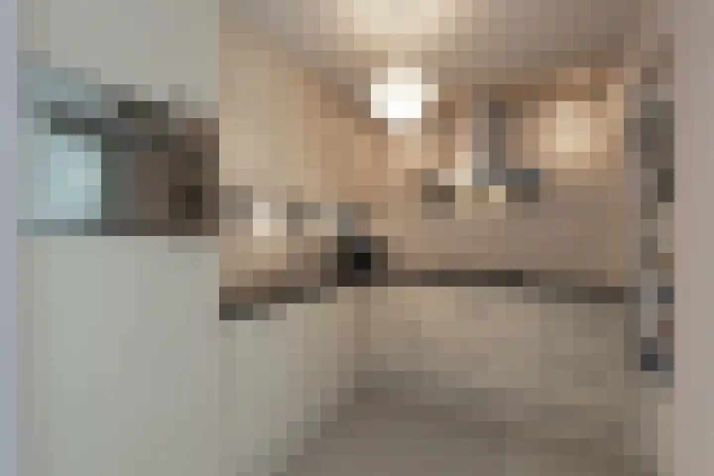 de Houtakker 1 Bemmel thumbnail 15