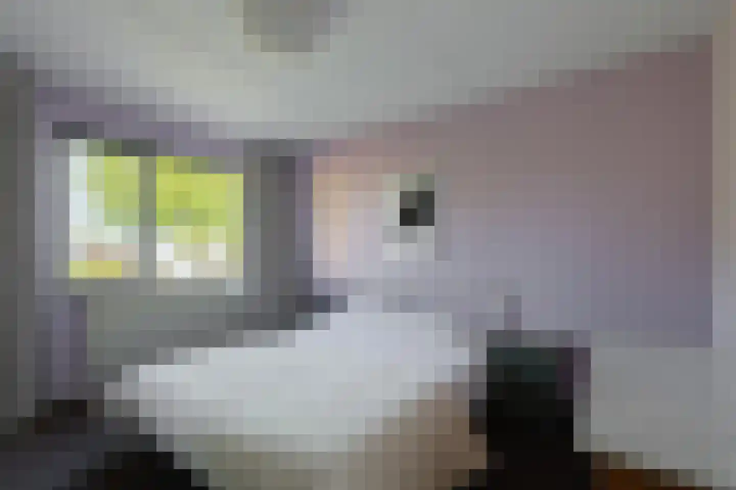 de Houtakker 1 Bemmel thumbnail 19