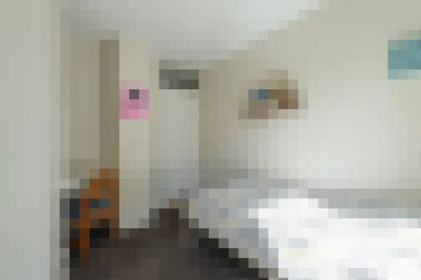 de Houtakker 1 Bemmel thumbnail 24