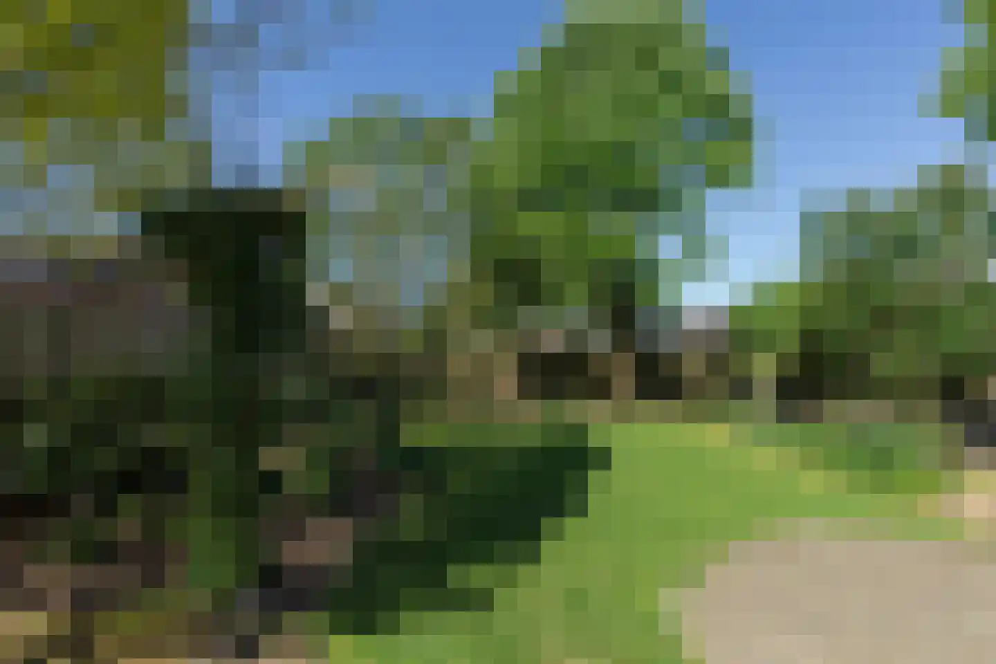 de Houtakker 1 Bemmel thumbnail 32