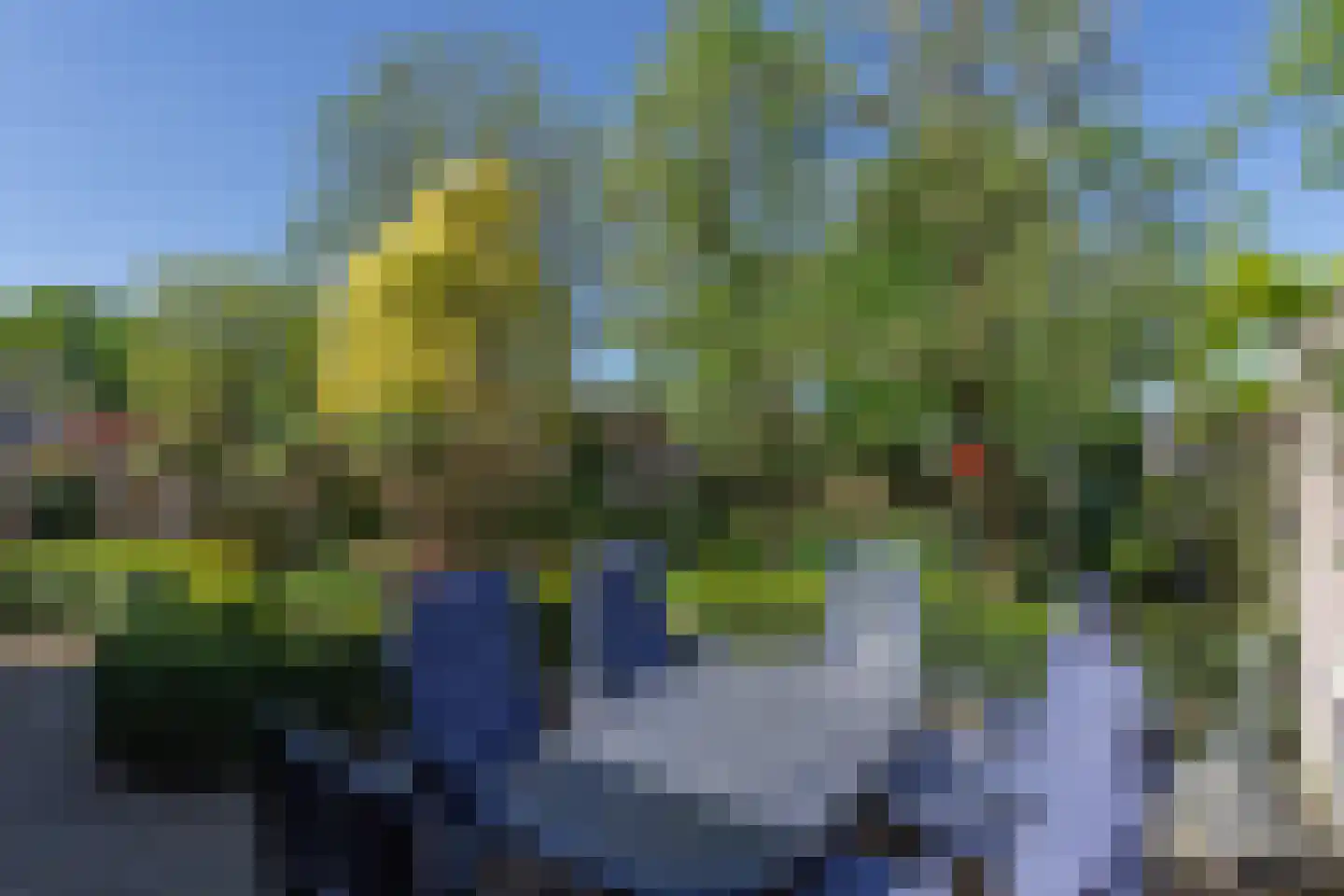 de Houtakker 1 Bemmel thumbnail 4