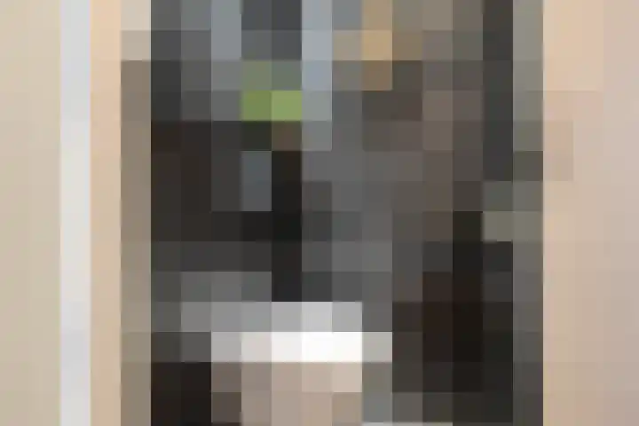 De Houtduif 12 Almelo thumbnail 12