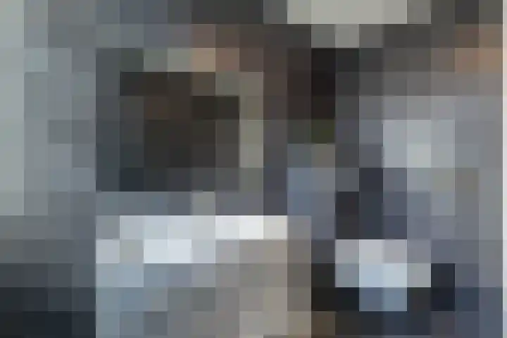 De Houtduif 12 Almelo thumbnail 14