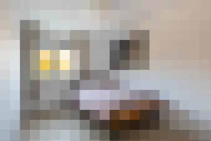 De Houtduif 12 Almelo thumbnail 15