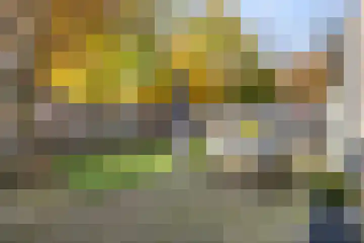 De Houtduif 12 Almelo thumbnail 21