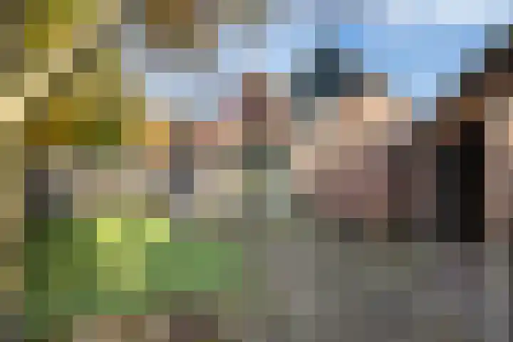 De Houtduif 12 Almelo thumbnail 22