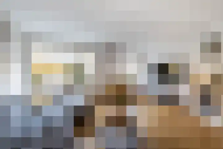 De Houtduif 12 Almelo thumbnail 8