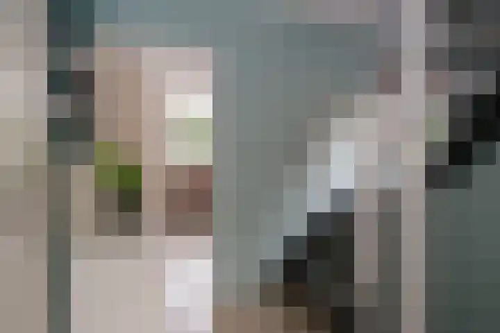 De Houtduif 17 Almelo thumbnail 23