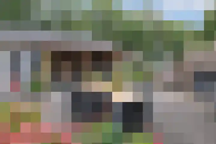 De Houtduif 17 Almelo thumbnail 29