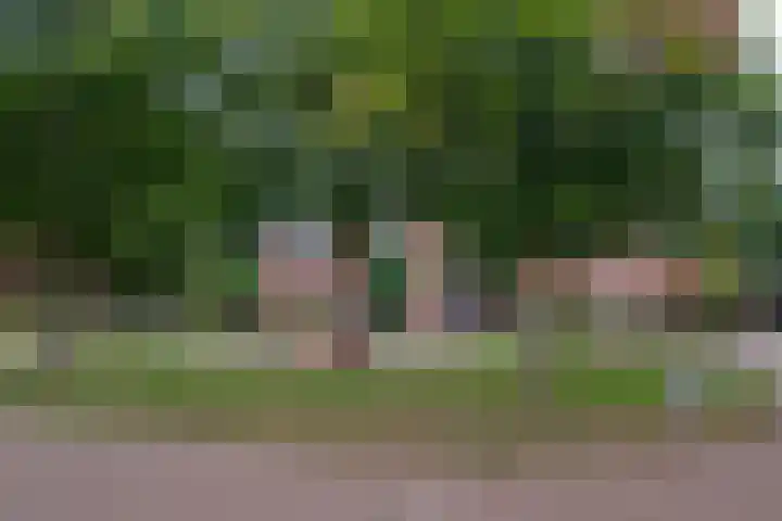 De Houtduif 17 Almelo thumbnail 32