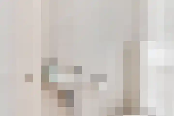 De Houtduif 69 Surhuisterveen thumbnail 12