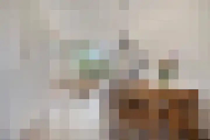 De Houtduif 69 Surhuisterveen thumbnail 13