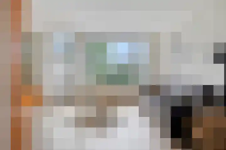 De Houtduif 69 Surhuisterveen thumbnail 14