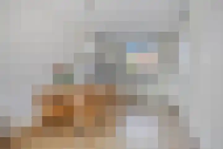 De Houtduif 69 Surhuisterveen thumbnail 21