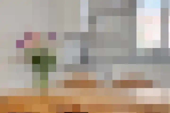 De Houtduif 69 Surhuisterveen thumbnail 22