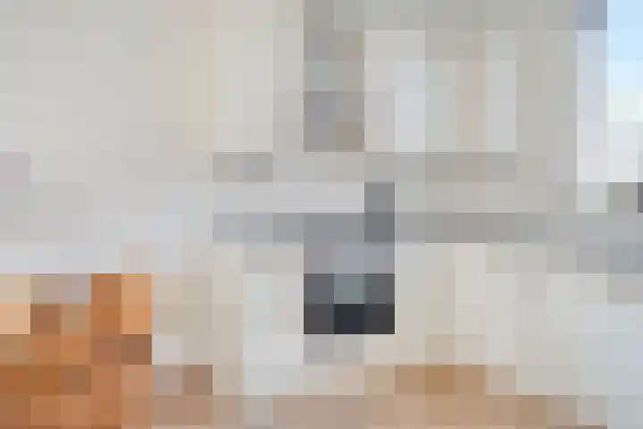 De Houtduif 69 Surhuisterveen thumbnail 25
