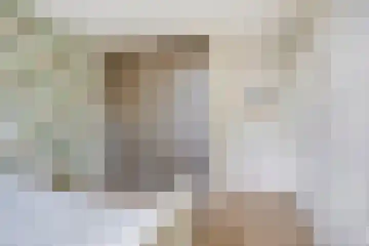 De Houtduif 69 Surhuisterveen thumbnail 29