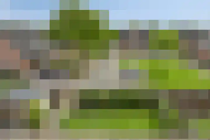 De Houtduif 69 Surhuisterveen thumbnail 43