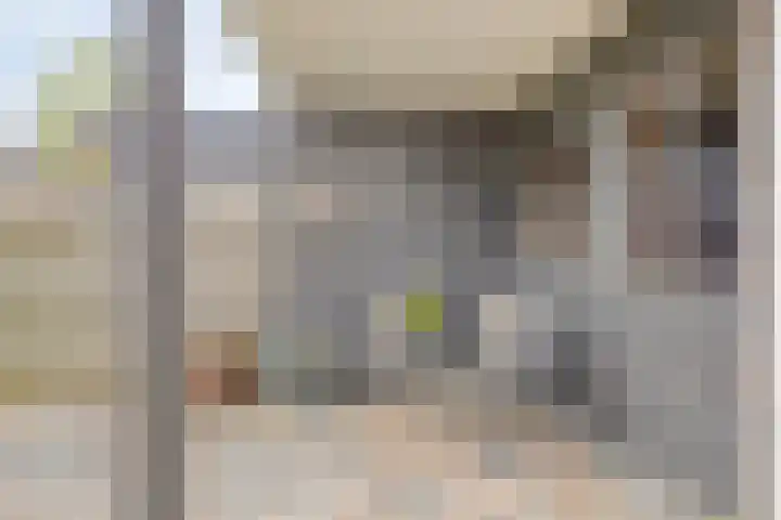 De Houtduif 69 Surhuisterveen thumbnail 45