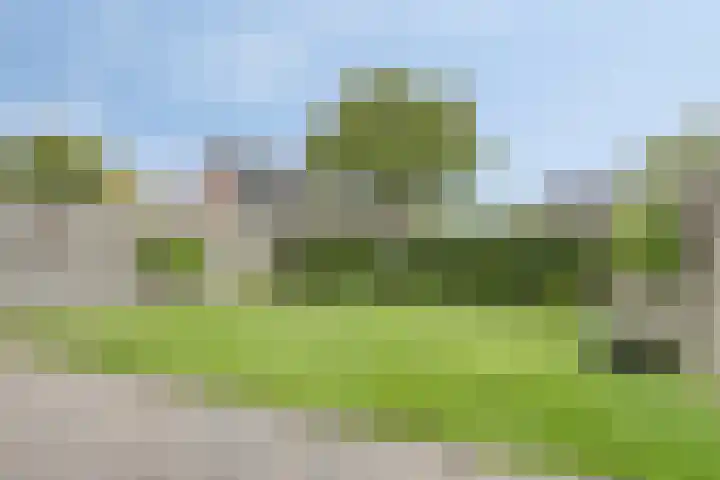 De Houtduif 69 Surhuisterveen thumbnail 46