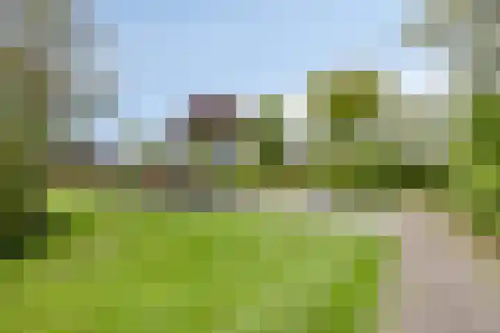 De Houtduif 69 Surhuisterveen thumbnail 49