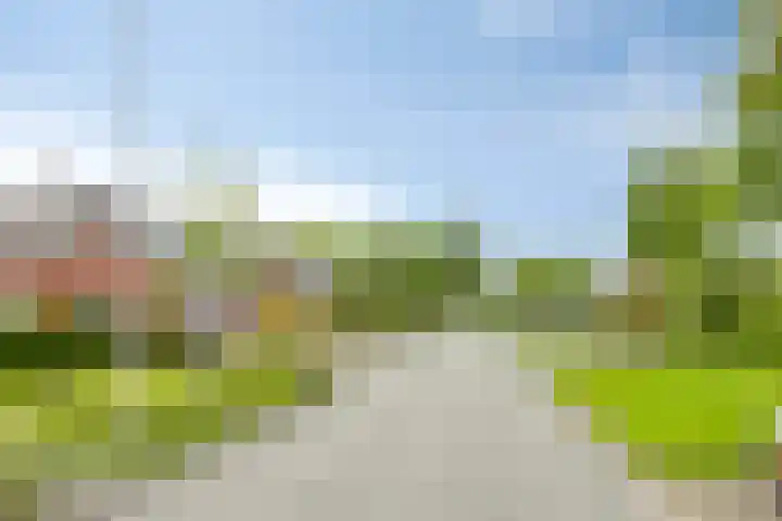 De Houtduif 69 Surhuisterveen thumbnail 50