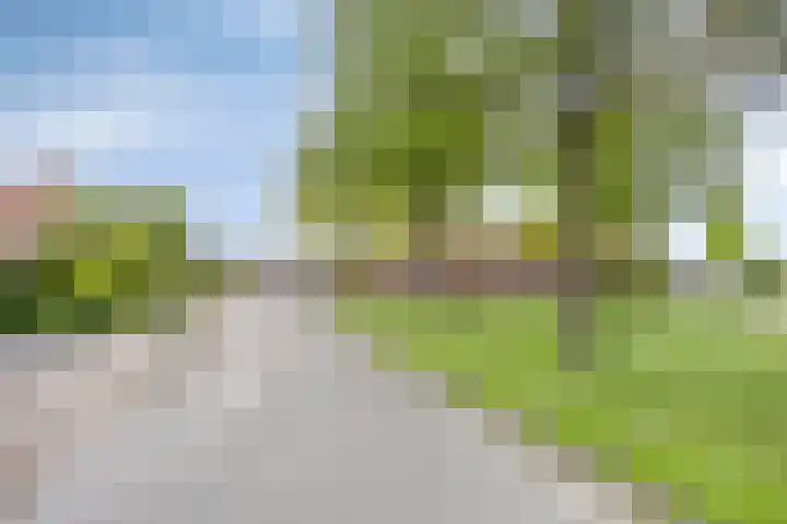 De Houtduif 69 Surhuisterveen thumbnail 51