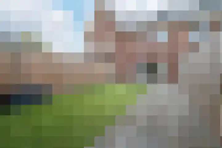 De Houtekster 40 Leeuwarden thumbnail 22