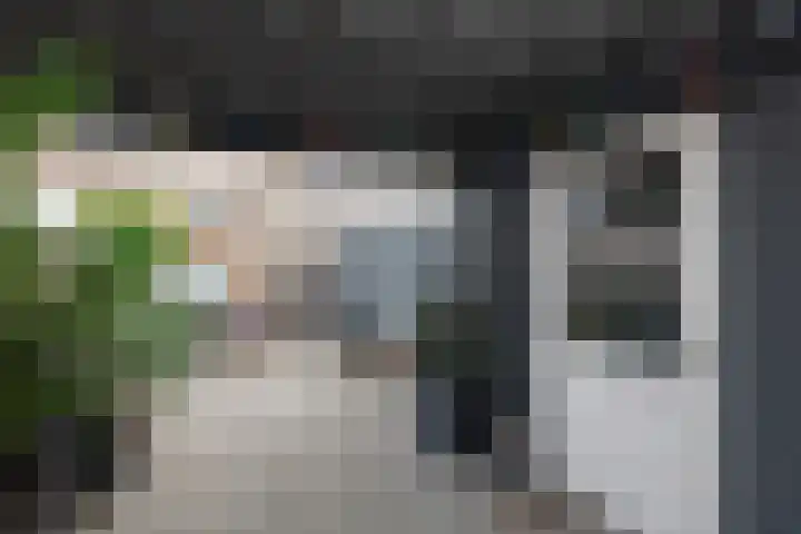 De Houten 7 Bolsward thumbnail 13