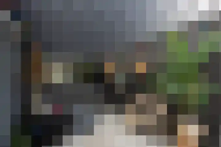 De Houten 7 Bolsward thumbnail 14