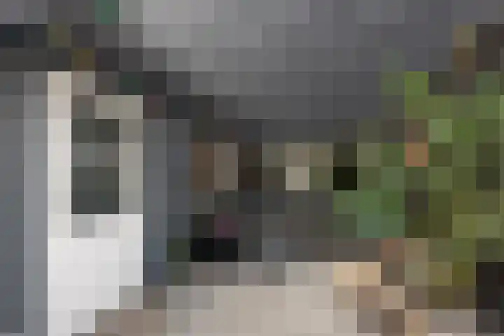 De Houten 7 Bolsward thumbnail 15