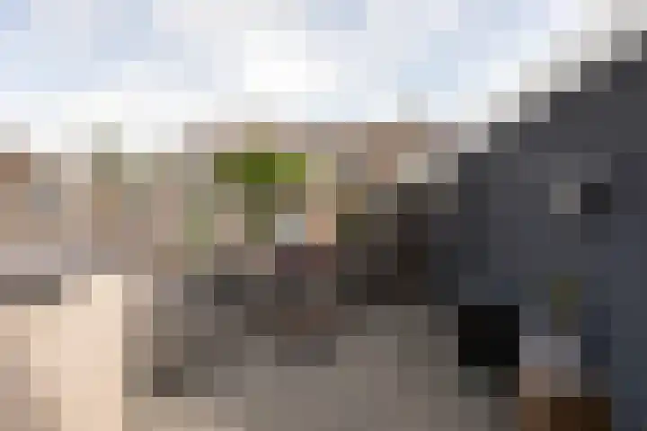 De Houten 7 Bolsward thumbnail 17
