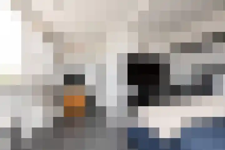 De Houten 7 Bolsward thumbnail 33
