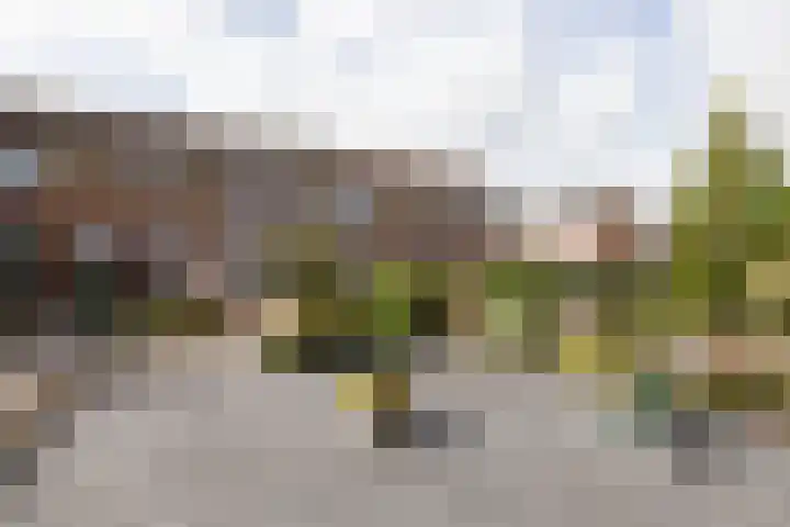 De Houten 7 Bolsward thumbnail 36