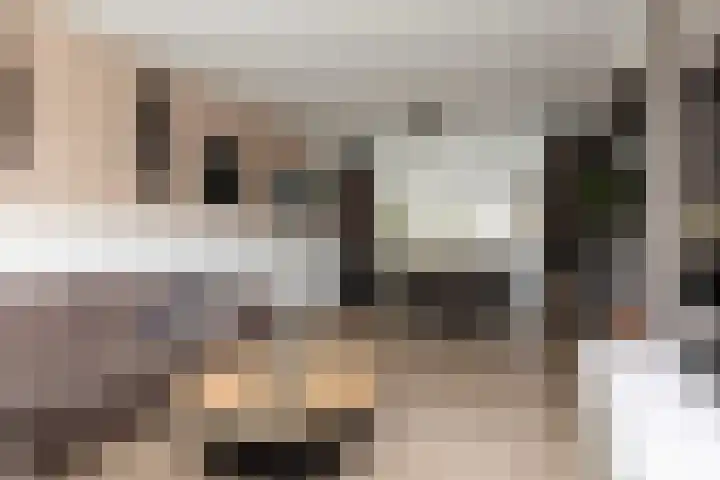 De Houten 7 Bolsward thumbnail 5