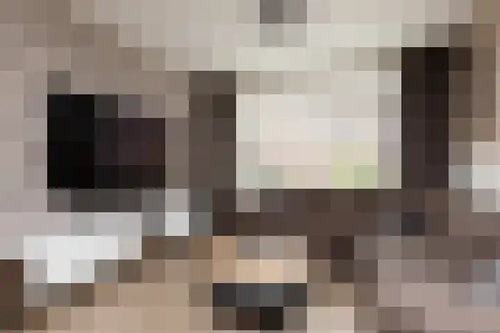 De Houten 7 Bolsward thumbnail 7