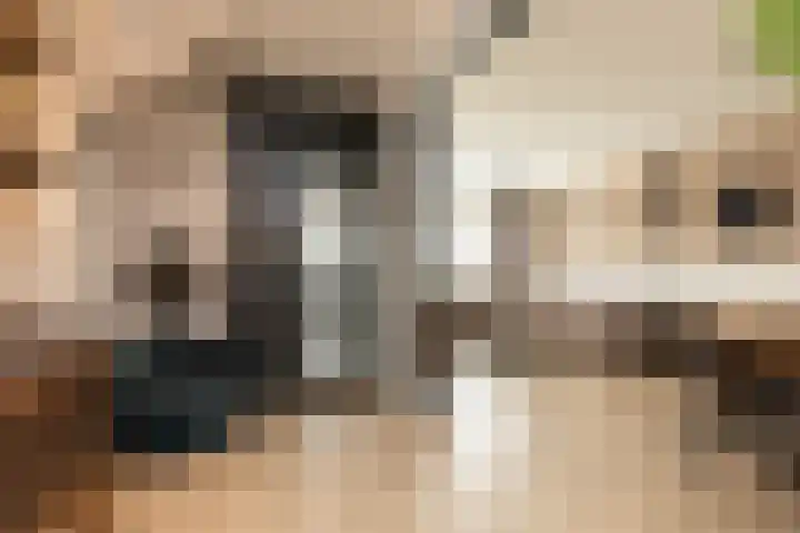 De Houten 7 Bolsward thumbnail 8