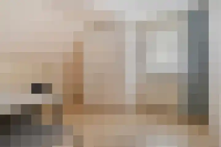 De Houtert 3 Lage Mierde thumbnail 26
