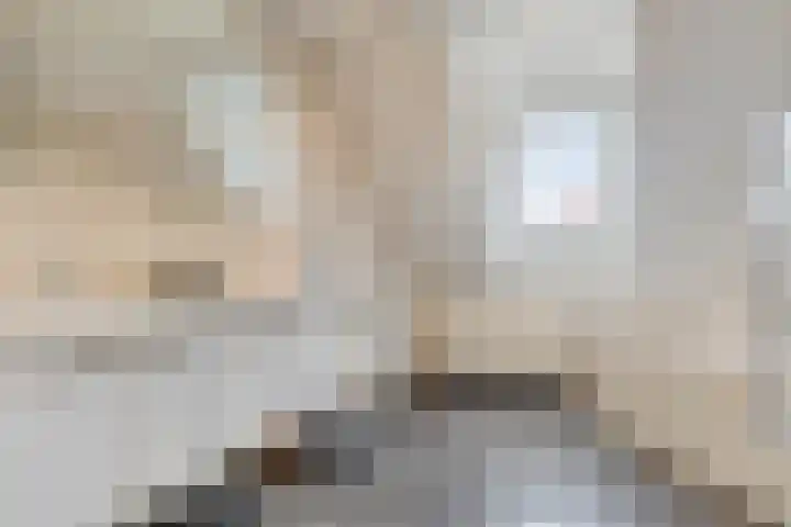 De Houtert 3 Lage Mierde thumbnail 30