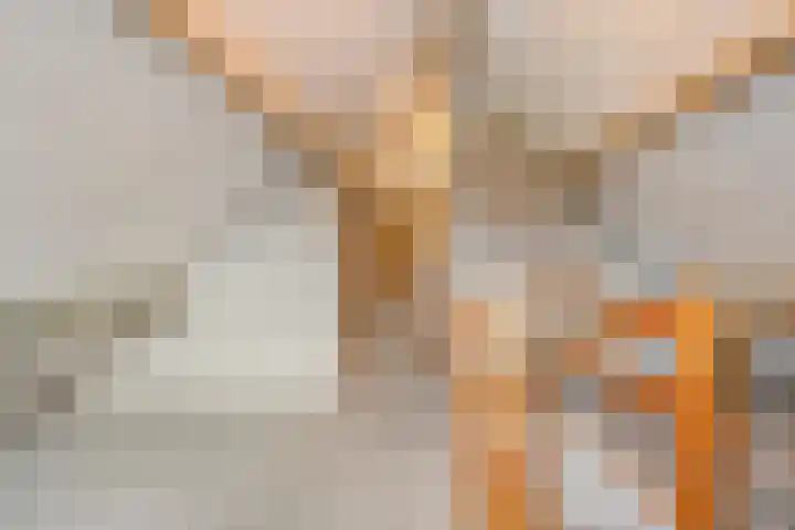 De Houtert 3 Lage Mierde thumbnail 34