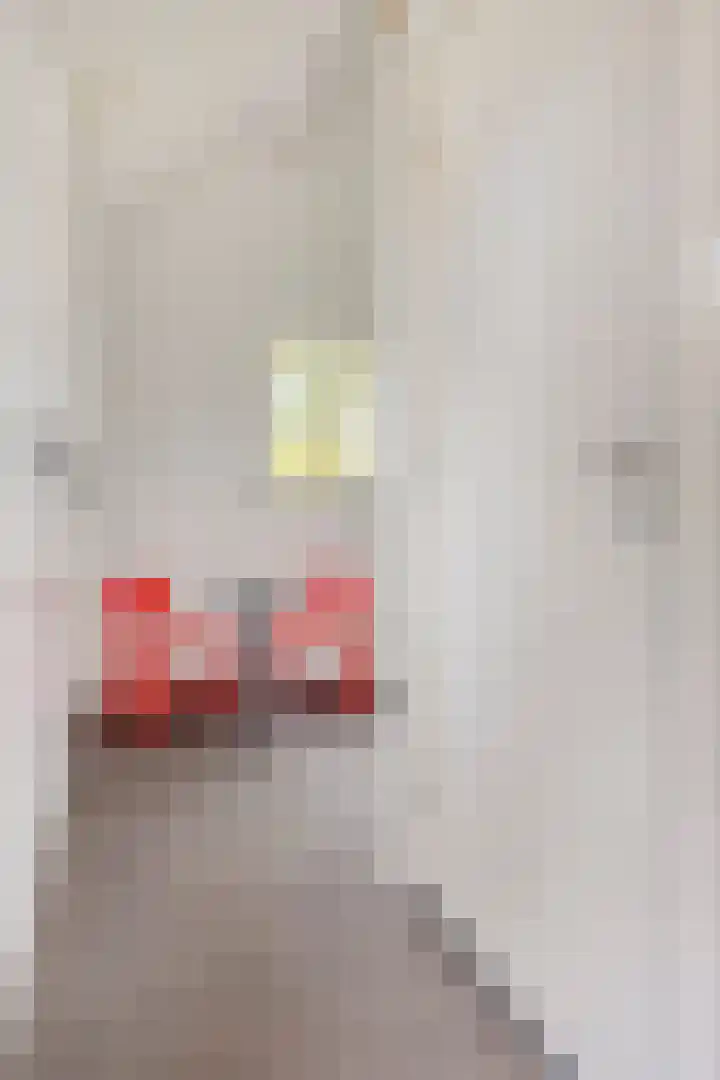 De Houtert 3 Lage Mierde thumbnail 40