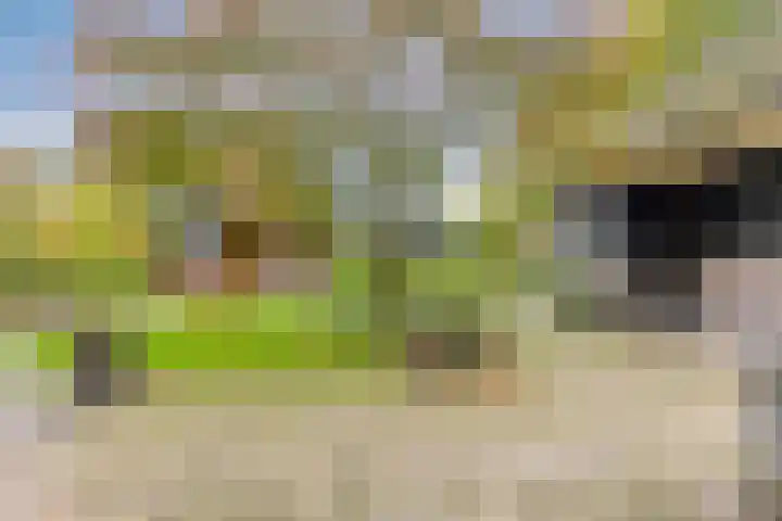 De Houtert 3 Lage Mierde thumbnail 45