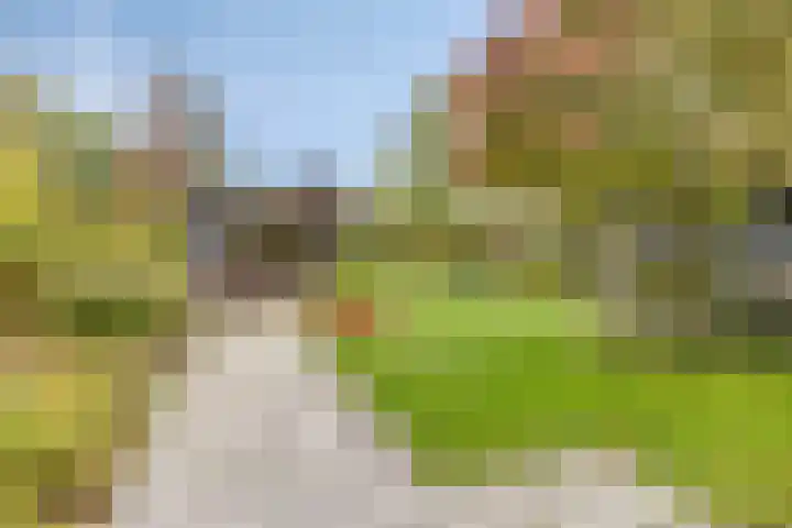 De Houtert 3 Lage Mierde thumbnail 46