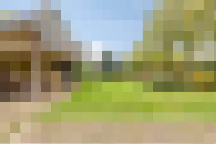 De Houtert 3 Lage Mierde thumbnail 47