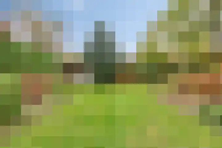 De Houtert 3 Lage Mierde thumbnail 48