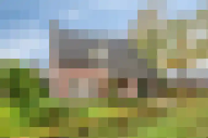De Houtert 3 Lage Mierde thumbnail 5
